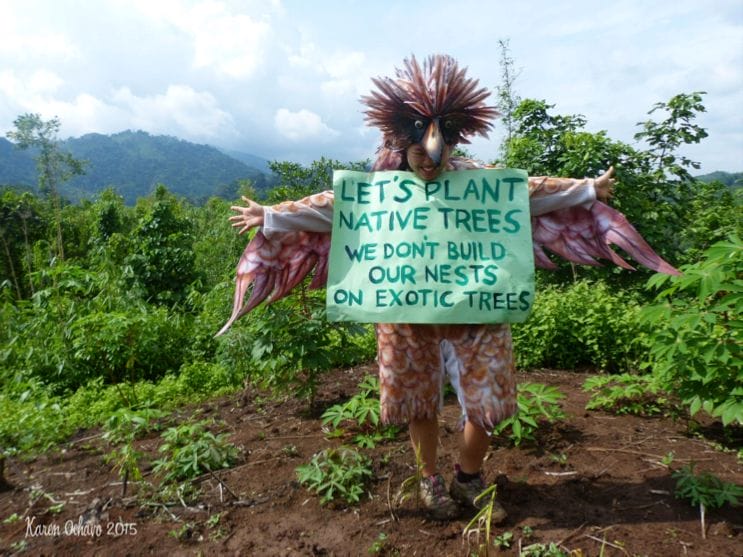 The Philippine Eagle’s plea. Photo by Karen Ochavo.