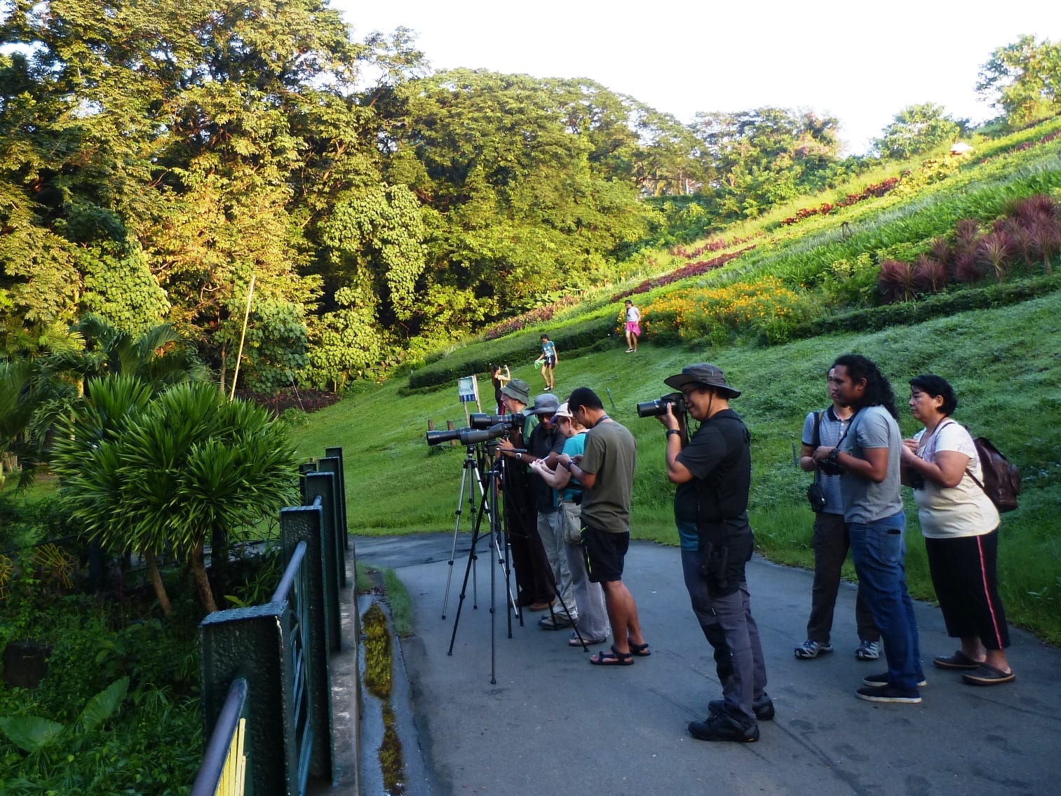 KGCO20151003+LMEP002