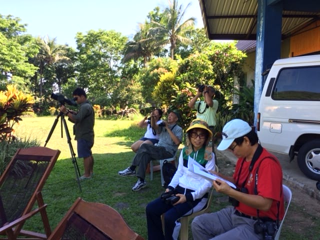 Monitoring the Chinese Sparrowhawk movement from the raptorhouse grounds in Pannzian