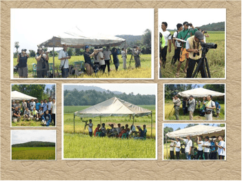 The first-ever raptor migration monitoring conducted in Sanchez Mira by the Cagayan State University students & supervising faculty members from 12 March to 15 April, 2016. 