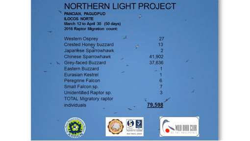 northern light pancian 2016