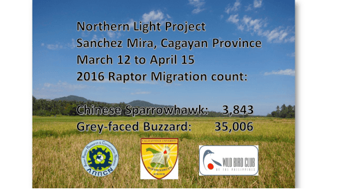 raptor migration count