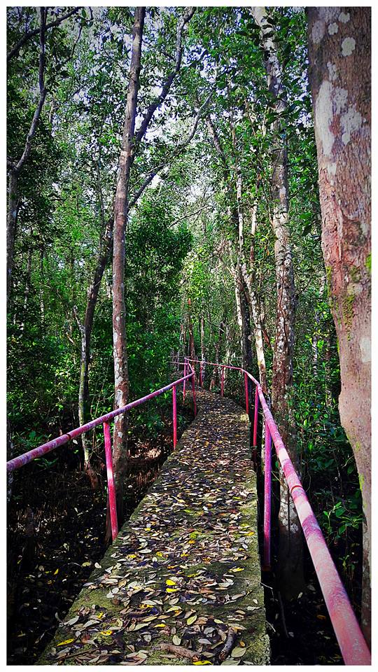 16143253_10154883793353903_4927040427399434267_n