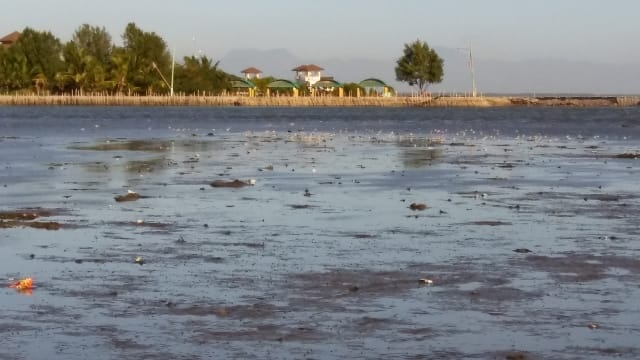 20170121_082456-640x360