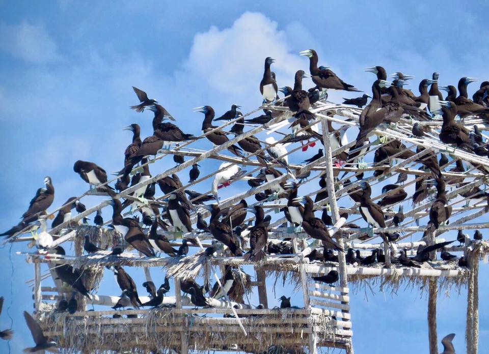 18193942_10154781503304139_7867871461802276103_n