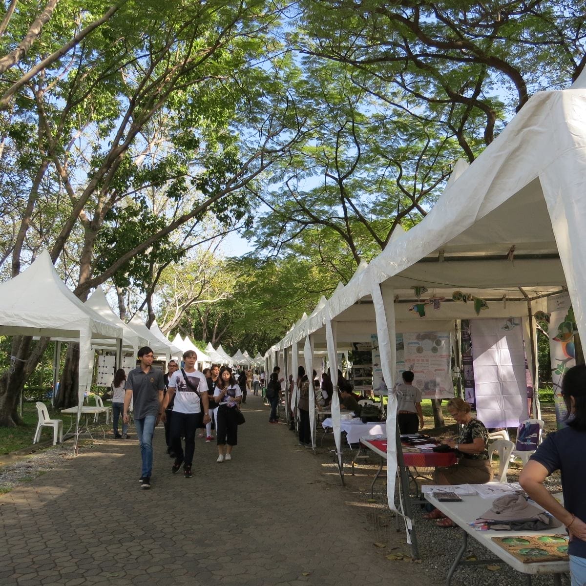 24068407_1669071279783010_2683547978421984399_o