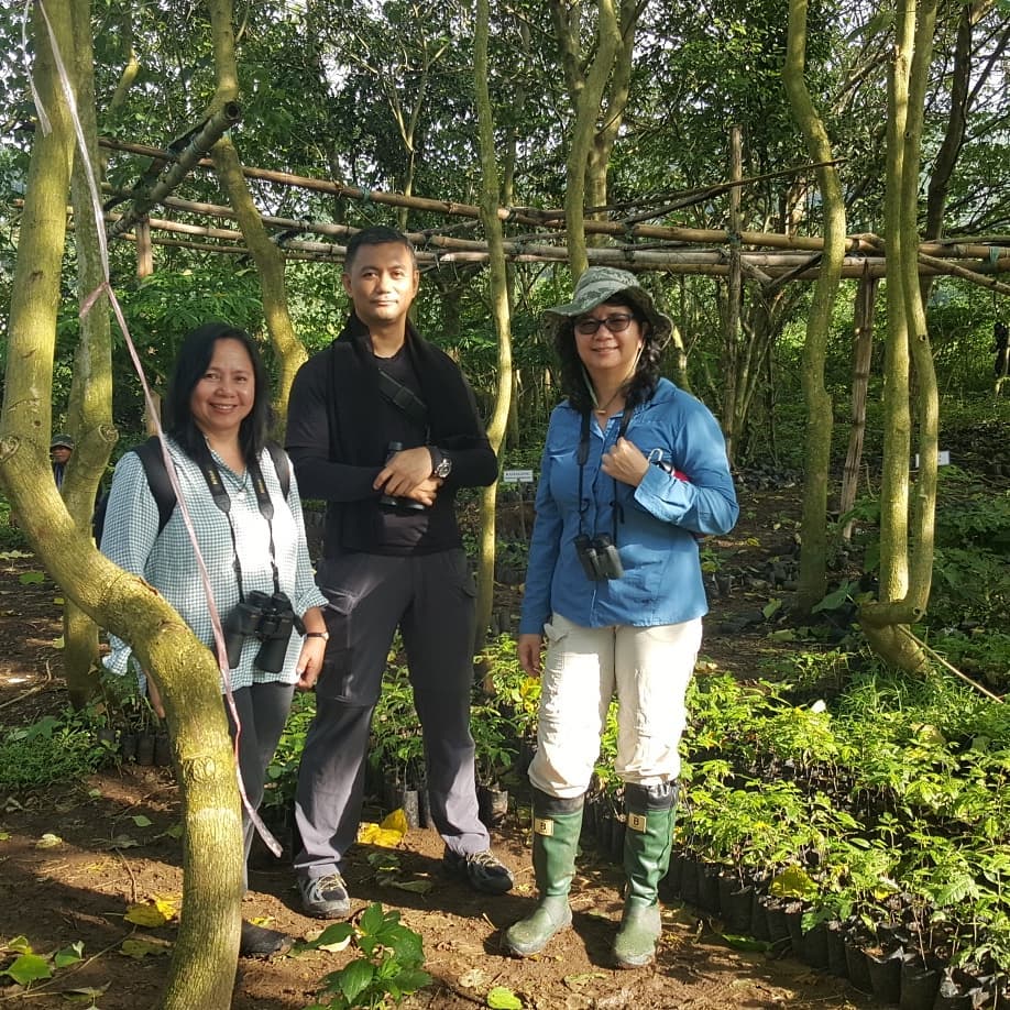 42543884_10156617147250070_1601953171398197248_n